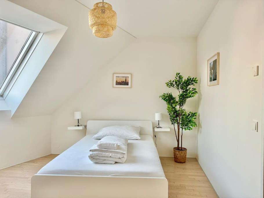 Bright Maisonette With Garden Appartamento *